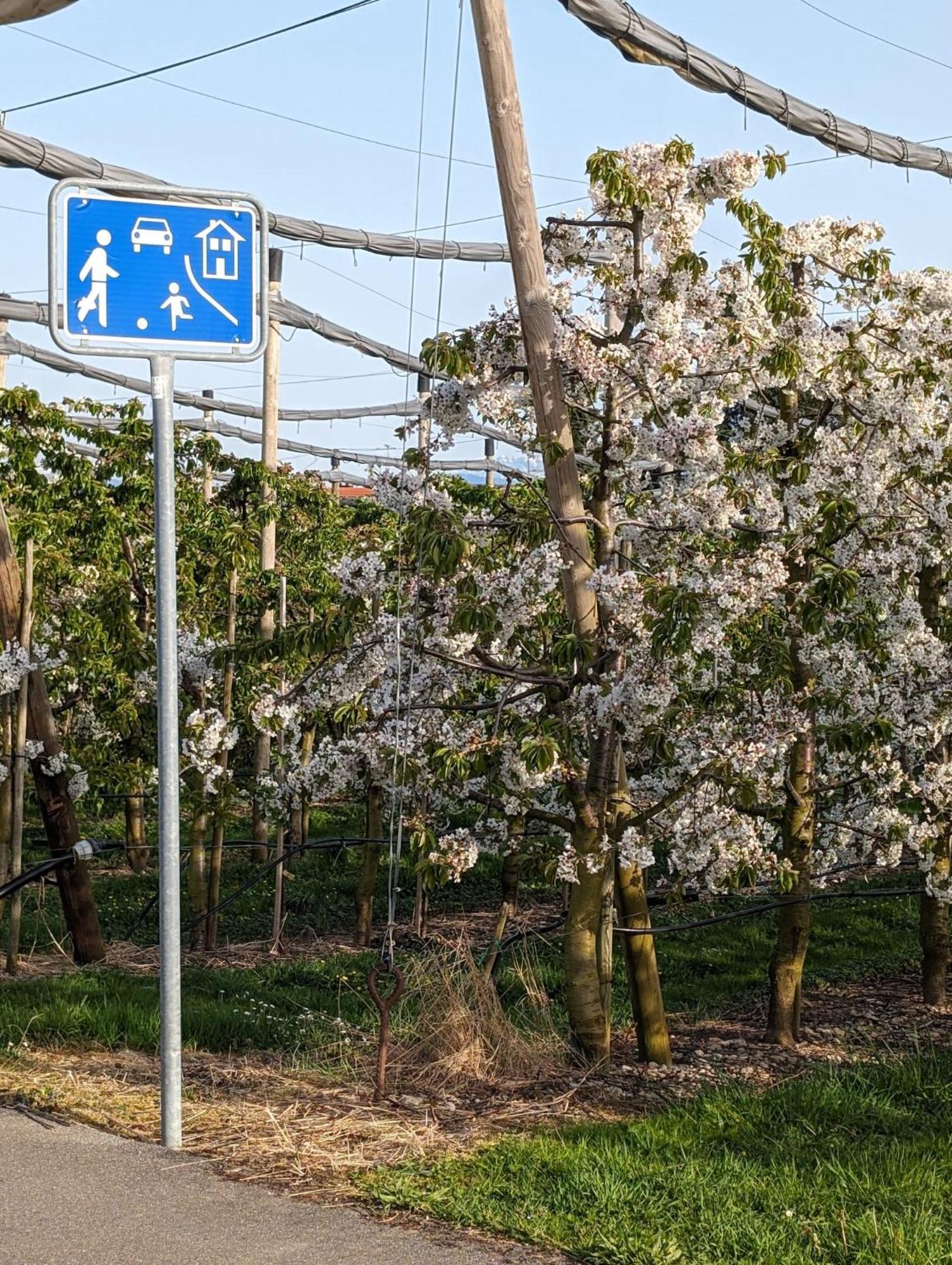 Kinderlachen Wasserburg Luaran gambar